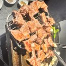 고기자리 이미지