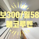 에코루벤 이미지