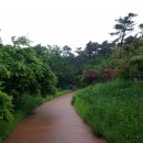 고잔근린공원 이미지