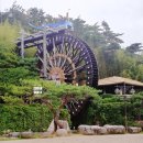 신평동368 네이버블로그