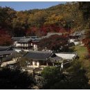 도산서원길(도산면) 이미지