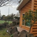 산방산에 펜션 이미지