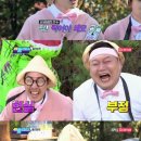 위플레이
