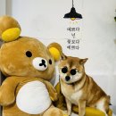카페;오숑
