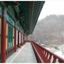 삼운사유치원 | 삼운사 템플스테이로 마음 수련