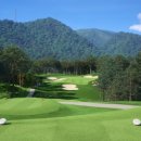 라운드비전 이미지