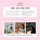 [샌드아트] 서울 솔뫼초 장애이해교육 / 장애인식개선 교육 샌드아트 공연