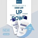 테디헤어코스메틱 이미지