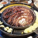 갈매기먹짱 이미지