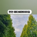 진상리막국수