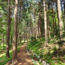 시골순대 이미지