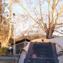 별나무캠핑장 이미지