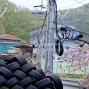 내돈내산 경기광주 BMS타이어 휠 얼라이먼트