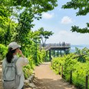 방성배수지 공중화장실 | 용왕산 스카이워크 주차, 직접 가보니?