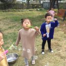 금련사유치원 이미지