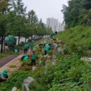 유엔군 초전기념관 이미지