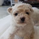 하루산책 이미지