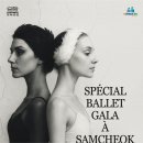 삼척문화예술회관 대공연장 이미지