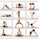 더 올 요가 이미지