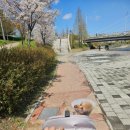 푸른하늘동물병원 이미지