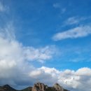 옥림김밥랜드 이미지