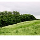 메밀꽃필무렵 이미지