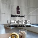 블랙이쉬레드 | 제주 애월 유수암 혼자 가기 좋은 조용한 카페 블랙이쉬레드 내돈내산 후기