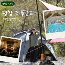 평창 라플란드 5성급 캠핑장 후기 : 예약 팁, 수영장, 와인바