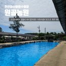 천안 아산 야외수영장 원골농원 가족나들이장소로 추천