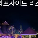 나원분식