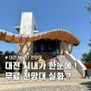 더 큰나무 | 대전 시내가 한눈에! 보문산 큰나무전망대 솔직후기