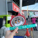 궁디팡팡 캣패스타 금요일 오픈런 후기(12월 서울 세텍) - 셔틀버스, 주차비+꿀팁/주의할점