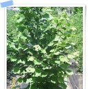 개암농장 이미지