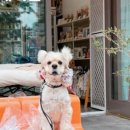 찹찹테이블 이미지