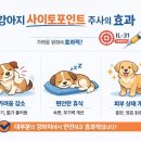 판교 P&P 동물병원 이미지