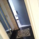 앙상블 2차 이미지