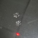 (주)썬엘 청주(서울)휴게소 | [일기] 12월 이브부터 1월 중간까지