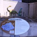 고성자연사박물관 이미지