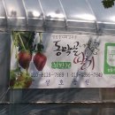 정호농장 이미지