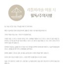 리틀파라솔