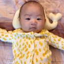 늘푸른소아과의원 이미지