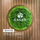 [퇴근길] 아로마테라피 | [식사동 마사지] 일산 프리미엄 호텔식 마사지 &lt;카카오풋앤바디 일산식사점&gt; :: 아로마테라피 60분 후기