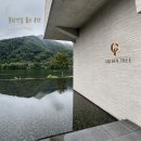 아이트리윅스(주) | 가평 베이커리카페 골든트리｜가평대형카페 북한강 리버뷰·남이섬카페 후기