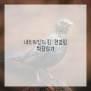 가이드잡