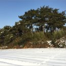 삽교읍010 이미지