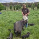 과반농장 이미지