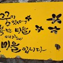 꽃마을천 이미지