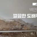 춘천 L-타워 이미지