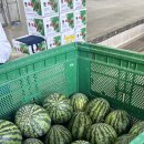 서구 자원봉사센터(7) 이미지