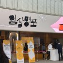 2024 코엑스 테이블데코페어 &amp; 공예트렌드페어 관람 후기